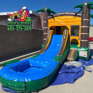 photo of a Palm Combo Bounce House Rental (Wet/Dry) in Surprise AZ