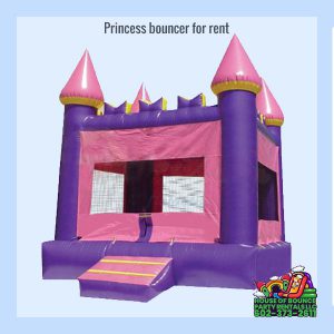 Photo of a Princess Bouncer rental